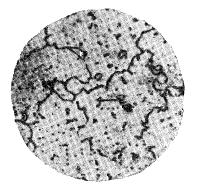 Микроструктура бериллиевой бронзы